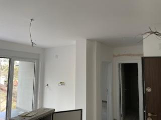 Damar Vista - 4
