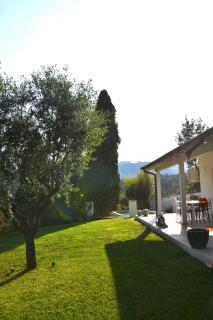 Villa Costa Medea - Camaiore - 6