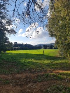Casa in Provinca - Orbetello - 9