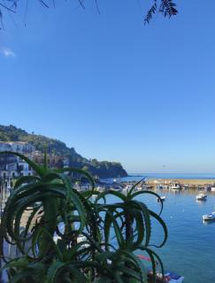 Monolocale Levante - Castellabate - 3