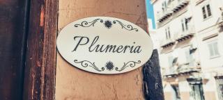 Plumeria - Vacanze in centro a Palermo - Palermo - 6