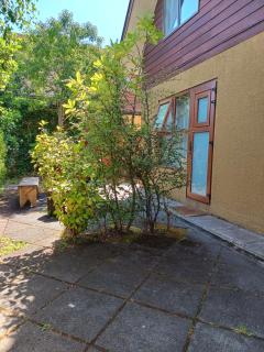 Borde lago I - II -III - Puerto Varas - 8