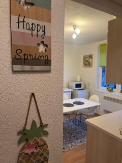 Lovely apartment in Old town 400m from city center Sebilj - Sarajevo - 3