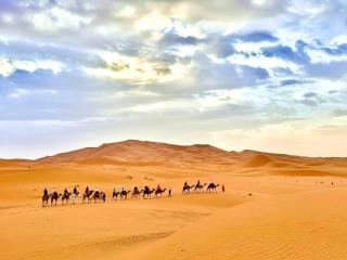 royal sunrise camp - Merzouga - 8