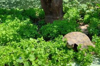 Seaside cushy studio - 2