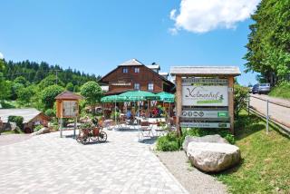 Höhengasthaus Kolmenhof an der Donauquelle - Furtwangen - 0