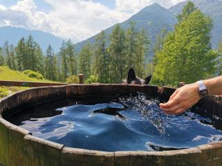 Baita Carnale, Montagna in Valtellina - Cà Paini - 4