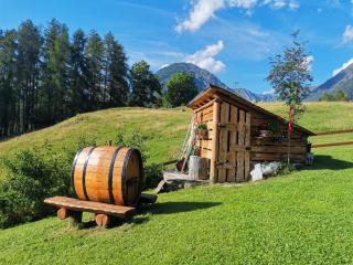 Baita Carnale, Montagna in Valtellina - Cà Paini - 3