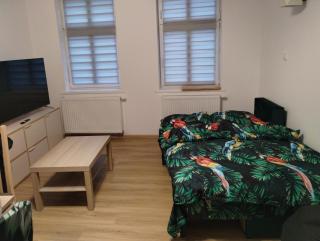 Apartament Tereska - Duszniki Zdrój - 6