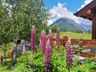 Baita Carnale, Montagna in Valtellina - Cà Paini - 7