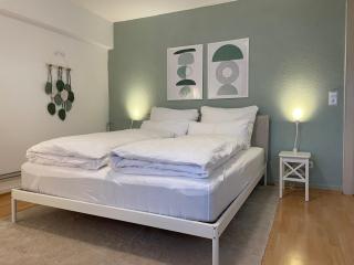 Wohnung mit 3 Schlafzimmern, Dachterrasse und Flussblick - Ühlingen-Birkendorf - 0