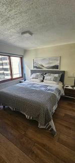 moderno, acogedor departamento Vitacura Las Condes - Santiago - 8
