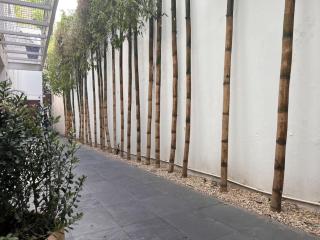 Condesa Residence Amsterdam 202 Bright 1BR 1BA On Amsterdam Av - Città del Messico - 3