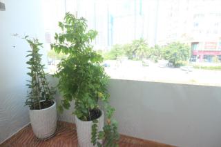 Cozy apartment near Saigon Pearl, Binh Thanh - Ho Chi Minh - 3