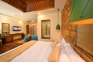 Woodapple Hotel and Spa - Kathmandu - 3