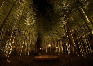 Hostel Knot - Izu - 2