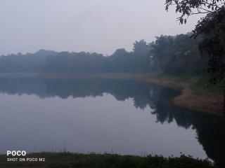 Lake View Cottage,Wayanad - Tariyod - 8