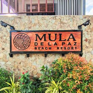 Mula De La Paz - Zambales - 8