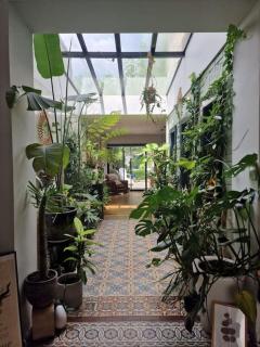 Maison de Caractère 8 pers - Jardin - - Lambersart - 7