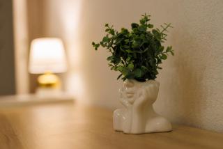 Victoriei Square Apartment - 8