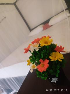 Green House, Upstairs Apartment - 6