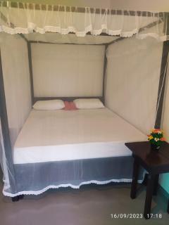 Green House, Upstairs Apartment - 5