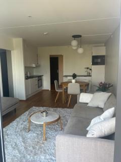 Nydelig leilighet med balkong - 1