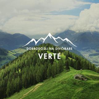Studio apartman Verte - Divčibare - 8