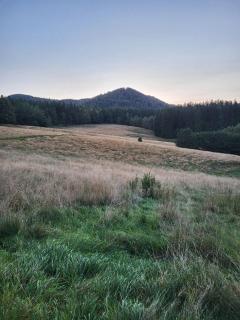 Apartament Loftowy Głuszyca - 6