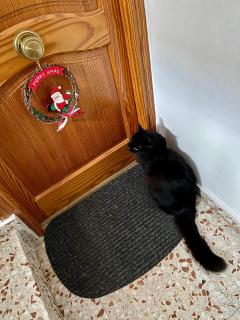 RichMarHome - Pego - 9
