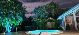 Gîte Kaz à Topaze, piscine, jardin tropical - 3