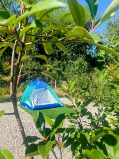 Seregnér Agricamping & Homes - Adults Only 18 - Monzambano - 5