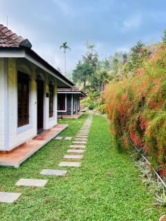 Nature Sanctuary Urumbi Hills - Mundakāyam - 2