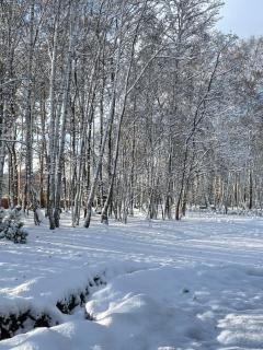 Norda Resort - Dębki - 9