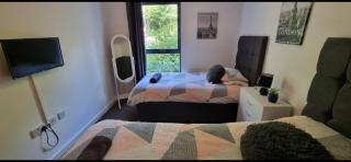 Brentwood Town Retreat - Large 2 bedroom apartment - 8