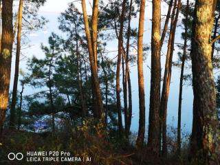 COCON NATURE ENTRE LAC ET L OCEAN - Carcans - 2