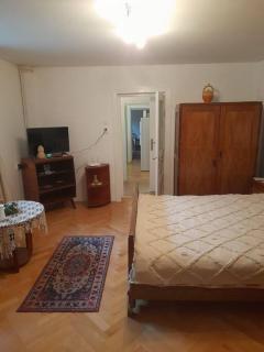 Emese Central Vintage Apartment - 1