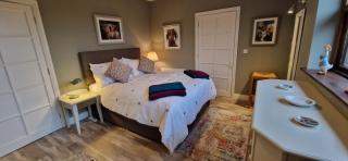 The Veterinary @ Kildare Village - Kildare - 1