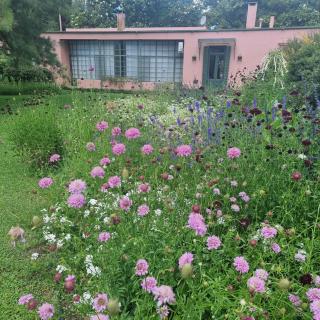 La Centenaria, casa de campo - 4