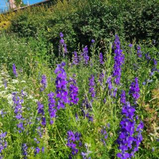 La Centenaria, casa de campo - 1