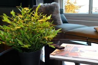 Karls Apartment - B24 - Gera - 6