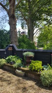 Tiny House Tholen - 8