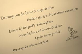 Tiny House Tholen - Tholen - 4