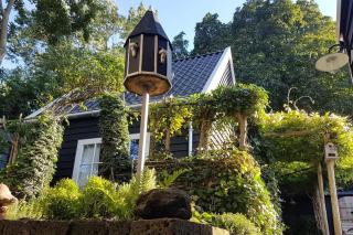 Tiny House Tholen - Tholen - 0