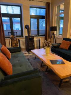 Ferienwohnung mit Kamin und traumhafter Dachterrasse mit Weitblick in die Natur - Neu Gaarz - 9