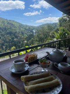Divine View Homestay - Ella - 8