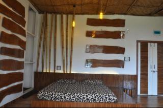 Leopard Farmhouse - Mhow - 2