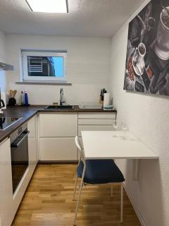 Modernes Studio mit separater Küche - Reutlingen - 5