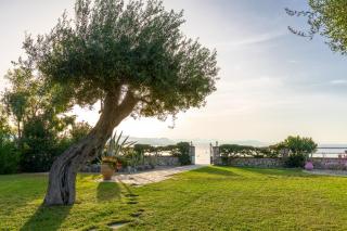 Cote Jardin - Barbati - 2