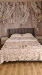 Apartament Sofia Kowary - Kowary - 5